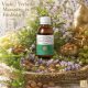 Vasfű (Verbéna) Mediterrán Masszázs-Fürdőolaj 125 ml – természetes növényi olajokkal - Berber Beauty