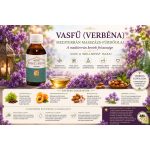 Vasfű (Verbéna) Mediterrán Masszázs-Fürdőolaj 125 ml – természetes növényi olajokkal - Berber BeautyVasfű (Verbéna) Mediterrán Masszázs-Fürdőolaj – prémium természetes testápolás