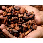 Csokoládé Bázikus Masszázs- és Fürdőolaj