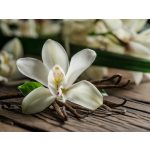 Vanília Bázikus Masszázs- és Fürdőolaj 125ml 