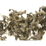 HŰSÍTŐ ALGAPAKOLÁS ZÖLD AGYAGGAL