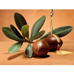 argán arcolaj, argánolaj arcra, 100% természetes argánolaj, természetes arcolaj, száraz bőr ápolása, érett bőr ápolása, E-vitaminos arcolaj, antioxidáns arcolaj, argánmagolaj, Berber Beauty